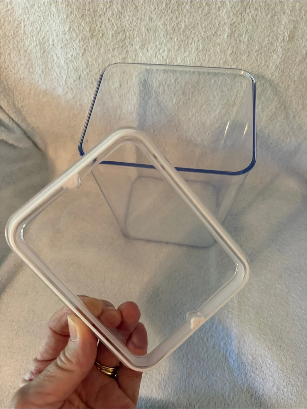 Clear Plastic Container and Collapsible Dish with Fork